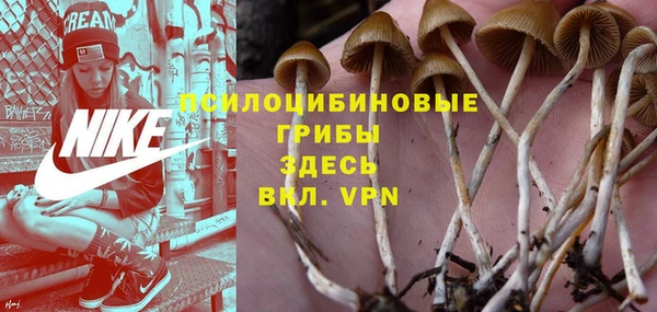 кокс Абаза