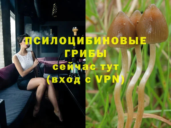 марки lsd Абинск