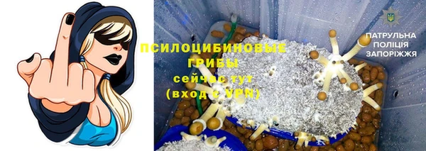 spice Алексин