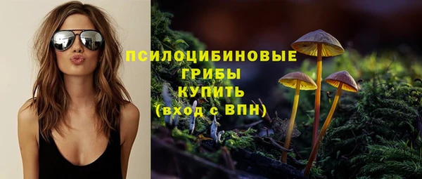 сатива Алзамай