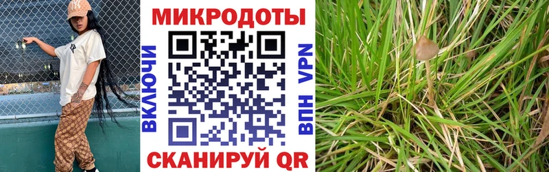 Псилоцибиновые грибы Psilocybe  Яровое 